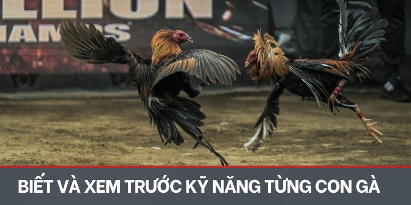 Biết và xem trước kỹ năng từng con gà 